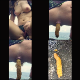 We join a German girl on her vacation in Asia as she pisses in multiple scenes and shits in at least 4 other scenes. Presented in 720P vertical HD format. 673MB, MP4 file. Over 34 minutes.
